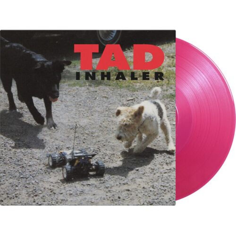 Inhaler